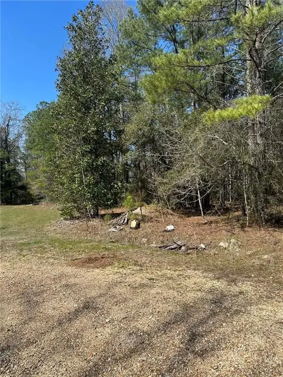 12436 Dusty Lane, Tickfaw, LA 70466 - #1