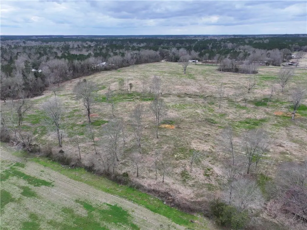 Dollar Rd And Pierce Rd Road, Angie, LA 70426 - #1