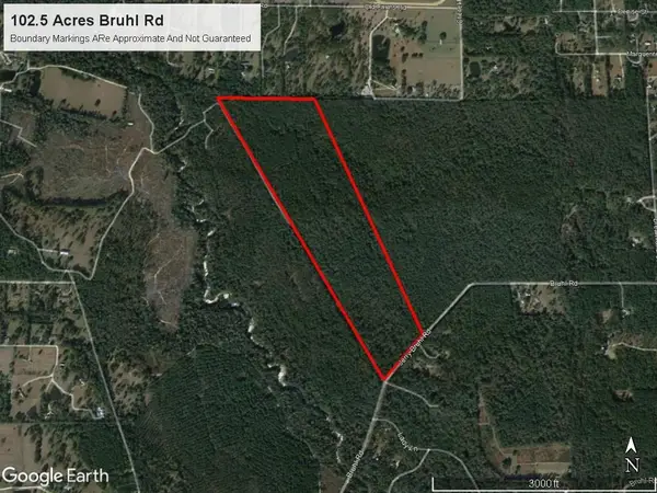 102 Acres Bruhl Road, Folsom, LA 70437