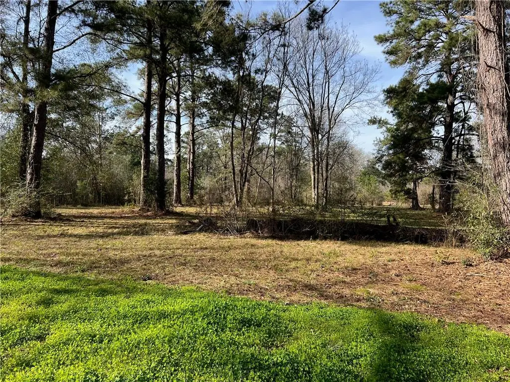 W Yellow Water Road, Hammond, LA 70403 - #1