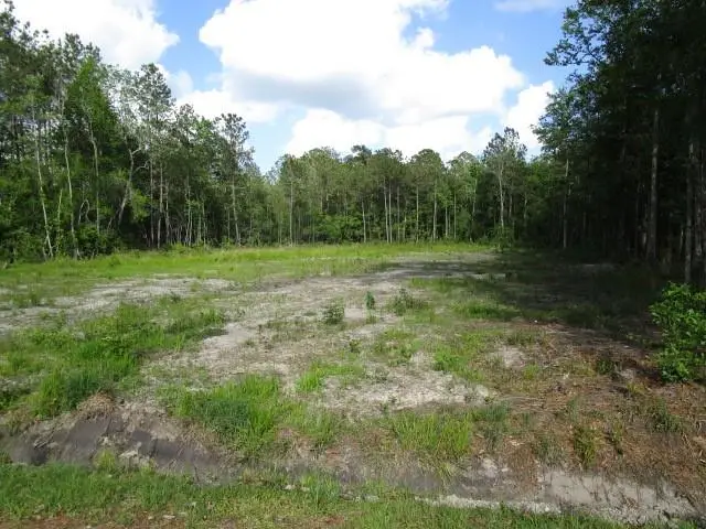 0 Smith Road, Pearl River, LA 70452 - #3