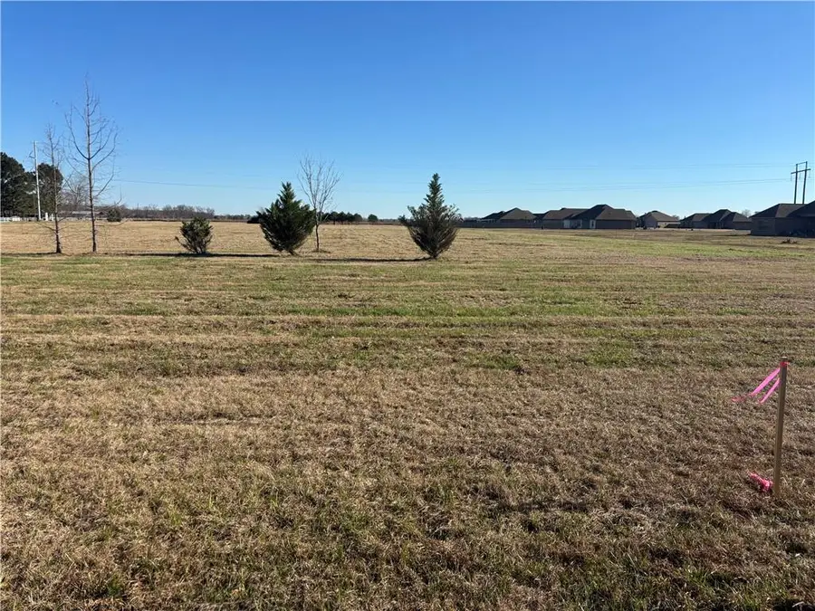 155 Lot 1 Fulton Road, Natchitoches, LA 71457 - #2