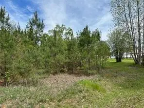 109 Tiger Lake Road, Alexandria, LA 71302 - #1