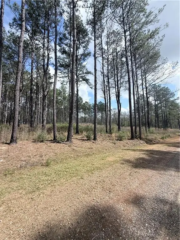 M-3 Hidden Hills Drive, Franklinton, LA 70438