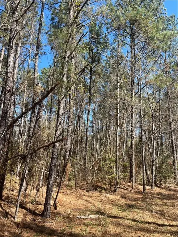 60052 Louise Talley Road, Bogalusa, LA 70427 - #1