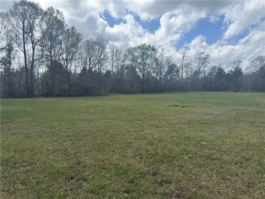 TBD Palmisano Drive, Hammond, LA 70403 - #2