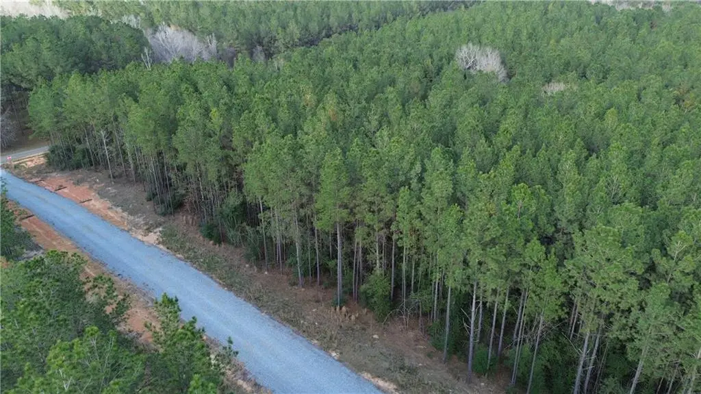 Lot 8 N Bethel Road, Franklinton, LA 70438 - #1