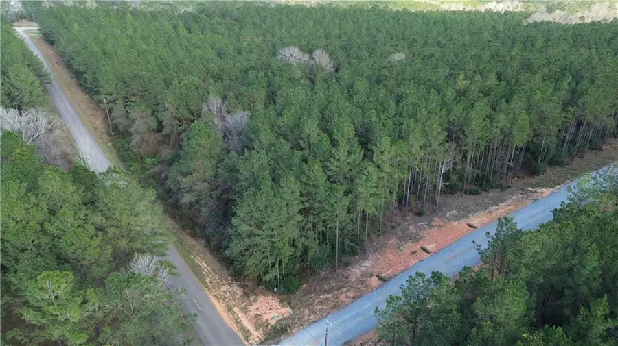 Lot 8 N Bethel Road, Franklinton, LA 70438 - #2