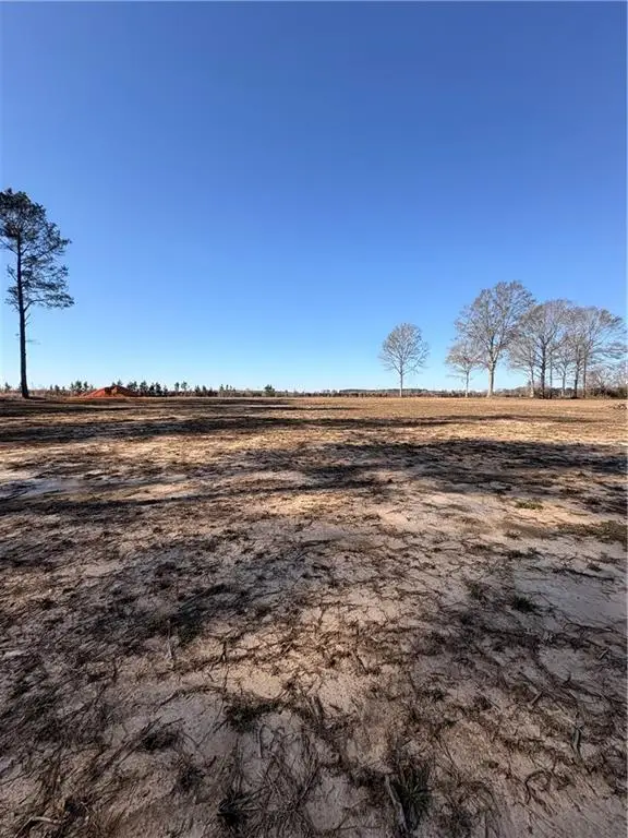 18499 Serene Pond Drive, Franklinton, LA 70438 - #3