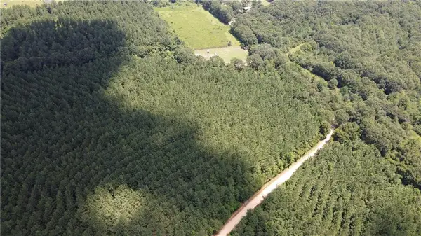 Lot F Otis Jones Road, Franklinton, LA 70438