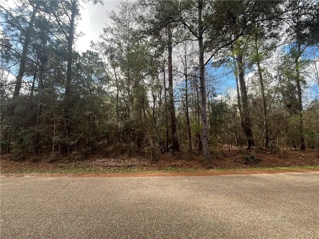 103 Chenel Street, Folsom, LA 70437 - #1