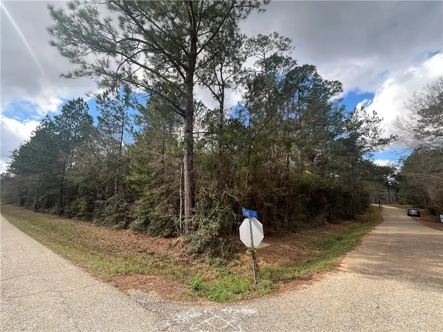 103 Chenel Street, Folsom, LA 70437 - #2