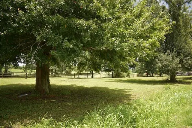 Twin Oaks Dr Lot 2 Drive, Raceland, LA 70394 - #2
