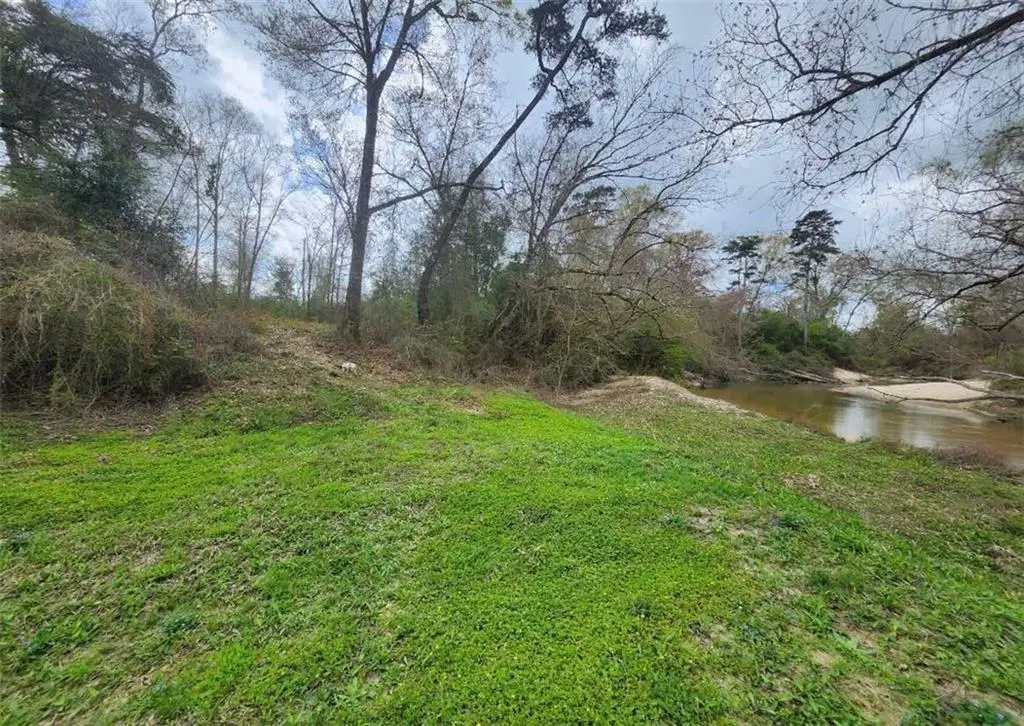 33979 Hwy 441 Highway, Holden, LA 70744 - #1