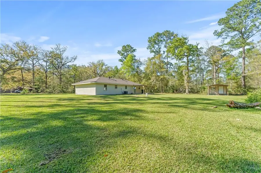24602 Abernathy Road, Springfield, LA 70462 - #3