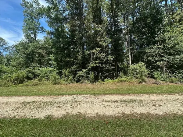 TBD Tract 4 Ragusa Road, Independence, LA 70443