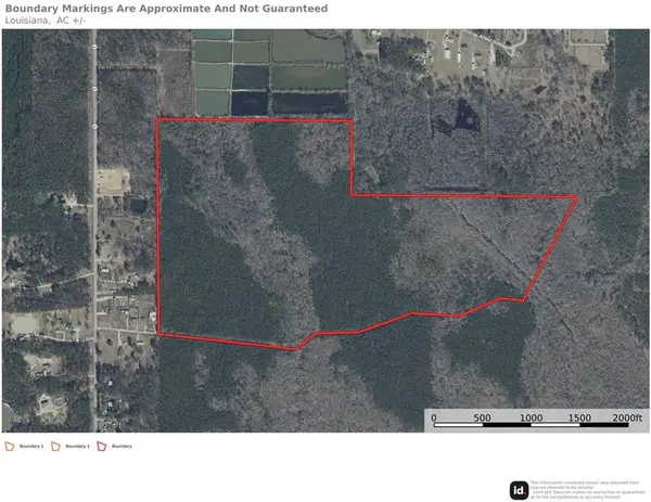 135 Acres Belle Woods Drive, Holden, LA 70744