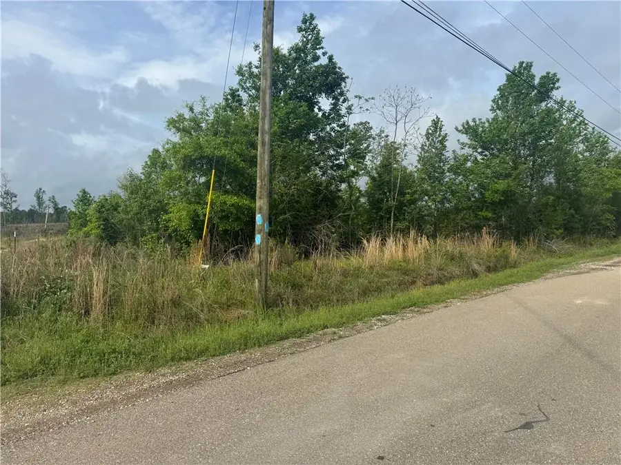 148 Acres Lost Oak Lane, Livingston, LA 70754 - #3