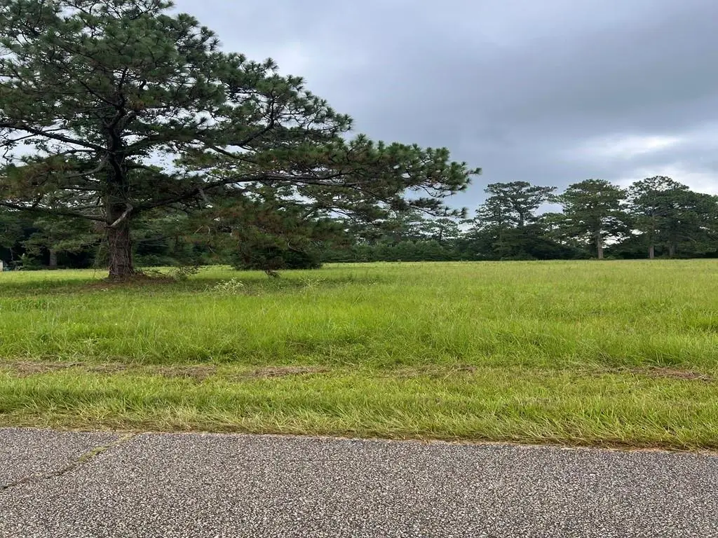 000 Ray Keen Road, Covington, LA 70435 - #1