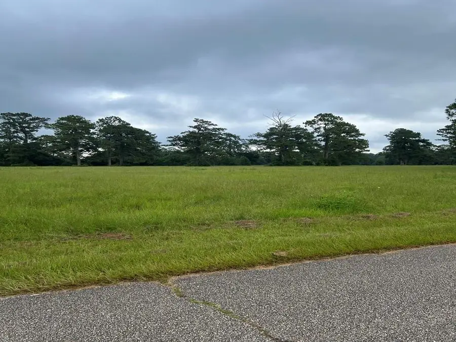 000 Ray Keen Road, Covington, LA 70435 - #3