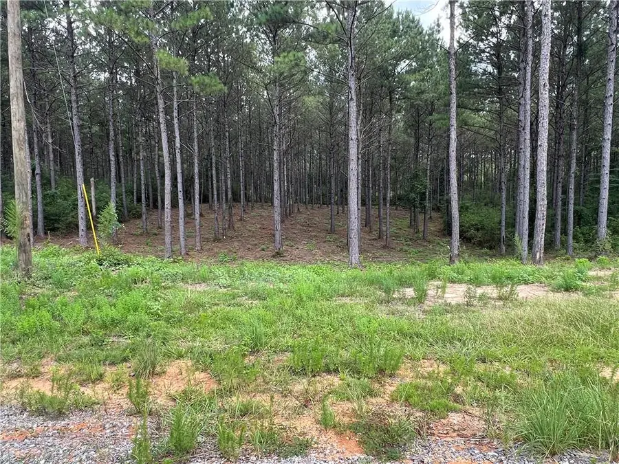 Lot 33 Lauren Lane, Franklinton, LA 70438 - #3
