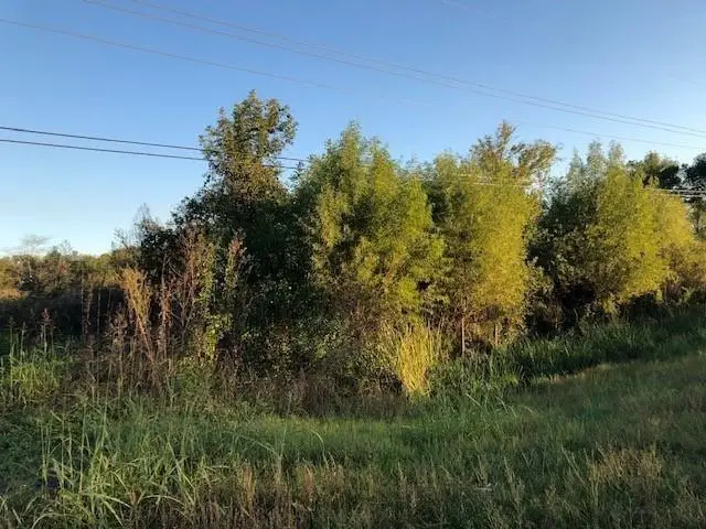 TBA S Hwy 165, Alexandria, LA 71301 - #2