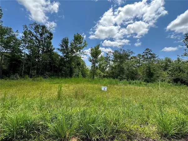 Lot 1 The Banks Dr, Hwy 16 Highway, Franklinton, LA 70438