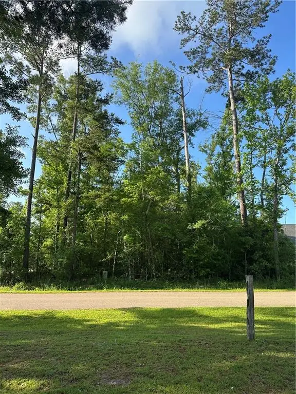Lot 15 Ponchatrain Drive, Springfield, LA 70462