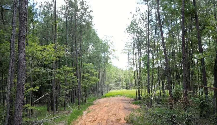 35072 La-43 Highway, Independence, LA 70443 - #2