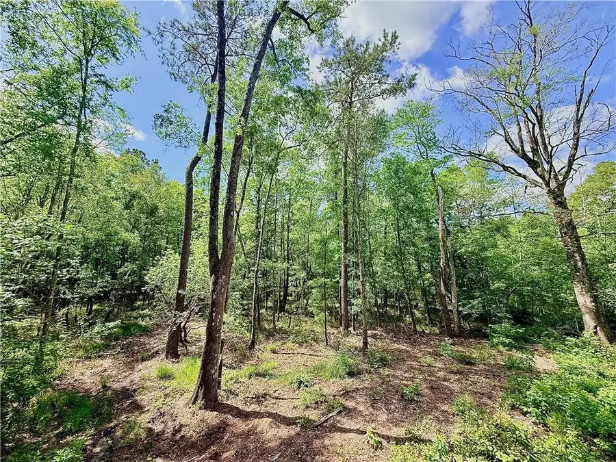 87474 Vineyard Road, Folsom, LA 70437 - #2