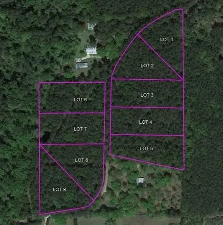 Lot 1 Hubert Stilley Road, Independence, LA 70443