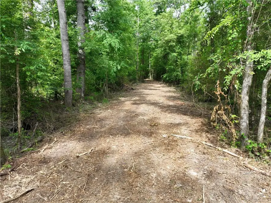 Shadow Lake Drive, Holden, LA 70744 - #3