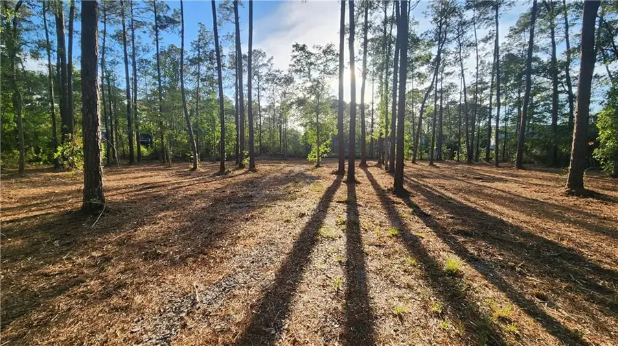 28102 Maria Drive, Lacombe, LA 70445 - #2