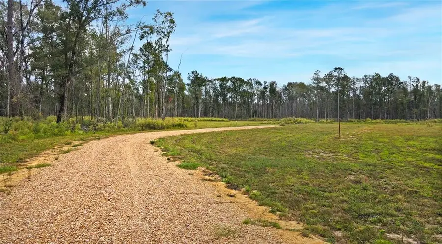 51034 George Road, Independence, LA 70443 - #2