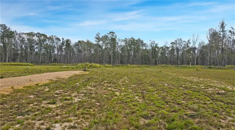 51034 George Road, Independence, LA 70443 - #3