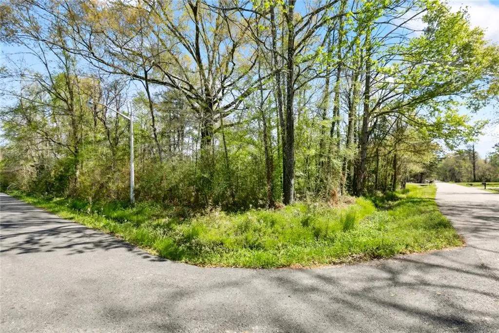 Lot 1-A Meadow Lark Lane, Denham Springs, LA 70726 - #1