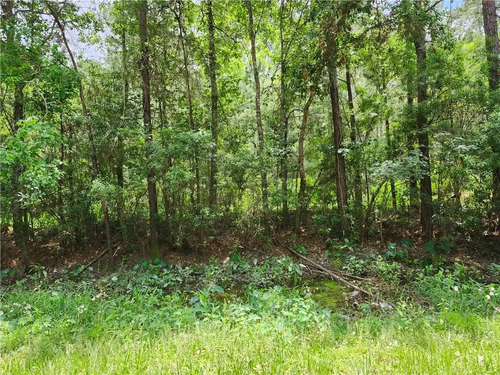 30325 Clesi Avenue, Lacombe, LA 70445 - #1