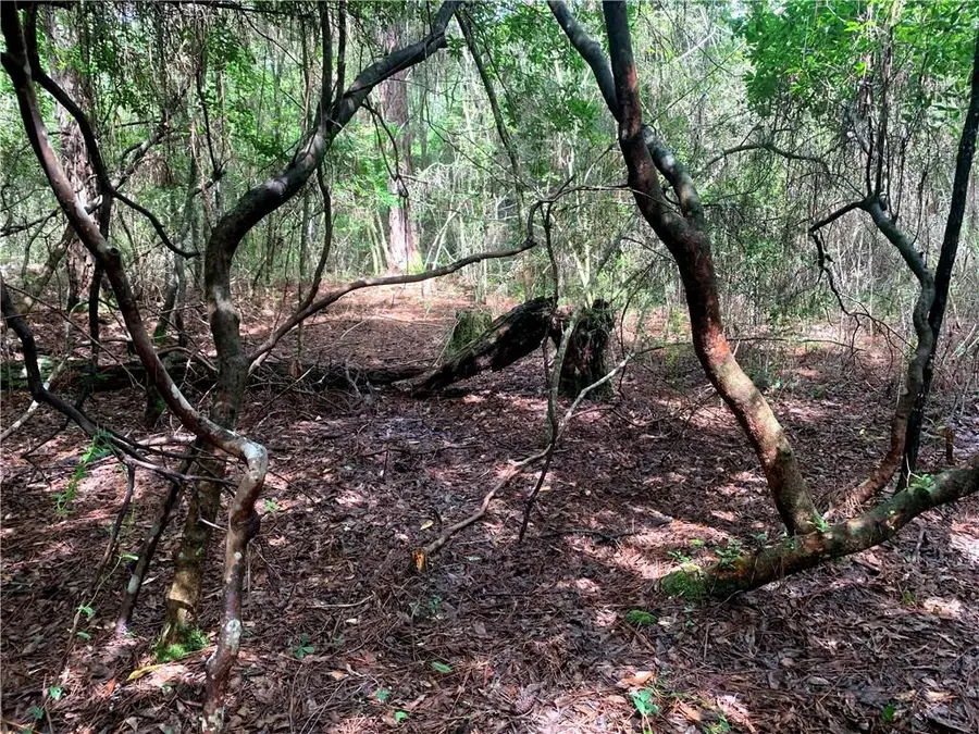 Lot 24 Five Acre Farms, Mandeville, LA 70471 - #2