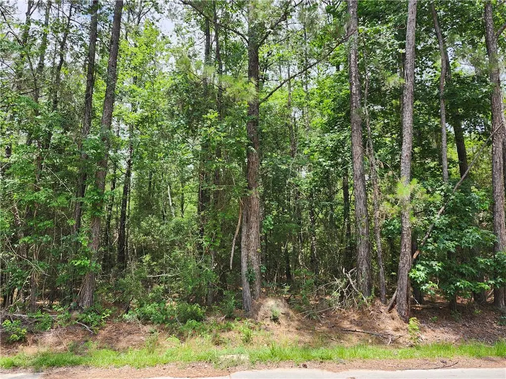 25584 W Chestnut Street, Lacombe, LA 70445 - #1