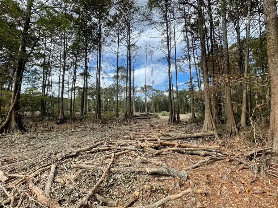 Pete Slaughter Road, Coushatta, LA 71019 - #3