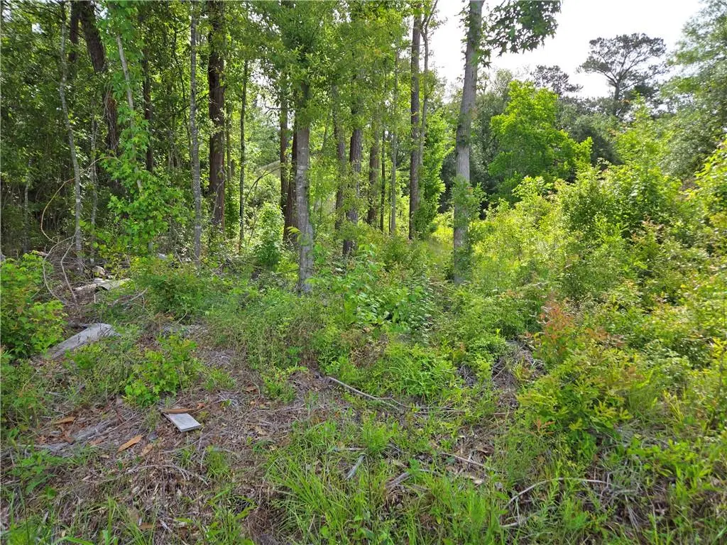Daisy Street, Covington, LA 70435 - #1