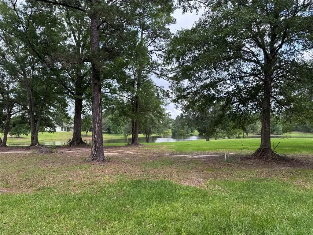 Lot 451 Chinawood Drive, Abita Springs, LA 70420 - #1