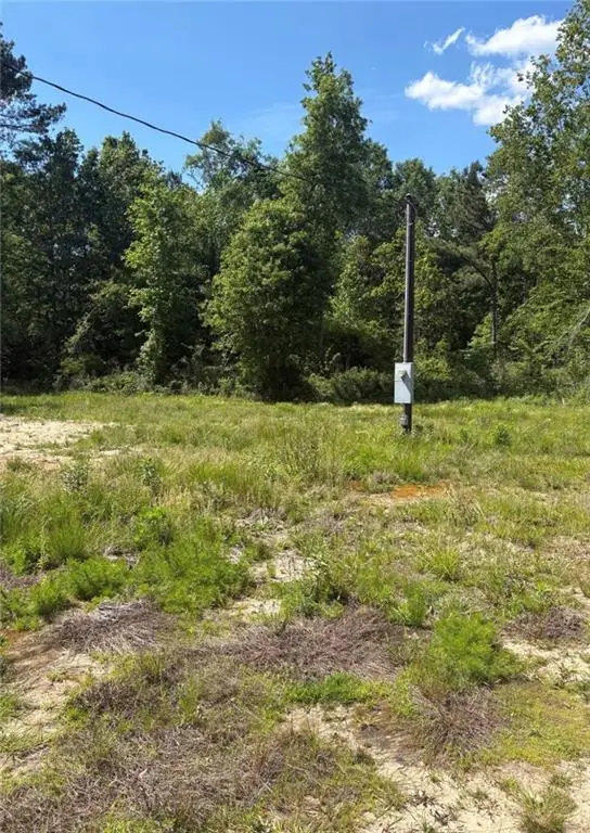 867 Claude Kelly Road, Deridder, LA 70634 - #2