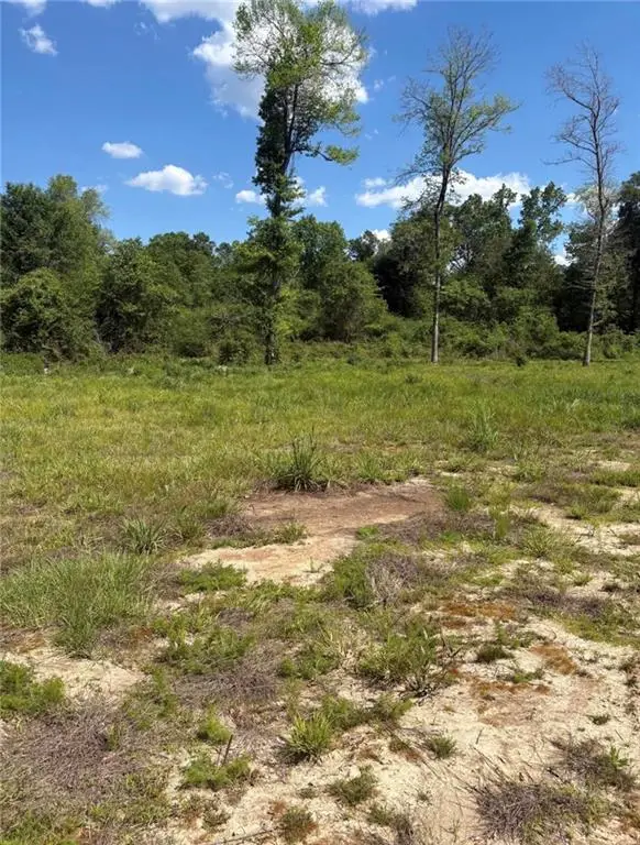 867 Claude Kelly Road, Deridder, LA 70634 - #3