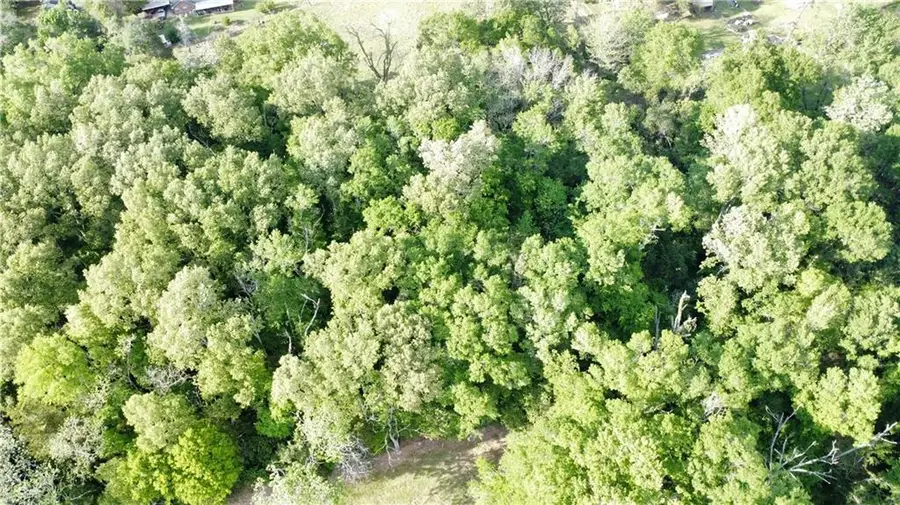 0 Andrus And Barton Street, Marksville, LA 71351 - #2