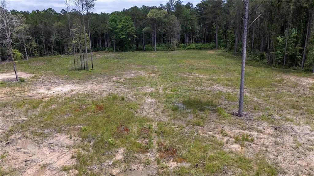 169 1199 Highway, Elmer, LA 71424 - #1