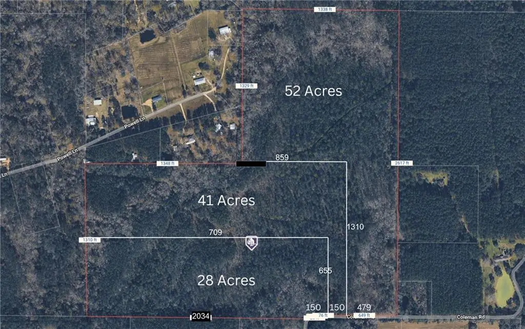 Coleman Road, Robert, LA 70455 - #1