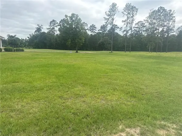 30684 Blue Wing Cresent, Springfield, LA 70462