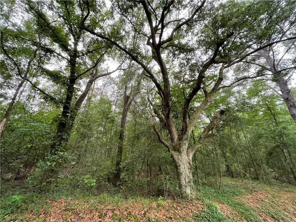 Bruhl Road, Folsom, LA 70437 - #1