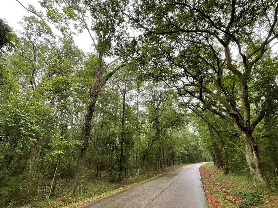 Bruhl Road, Folsom, LA 70437 - #2